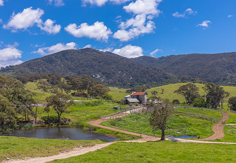 Tilba Real Dairy Cheese Farm