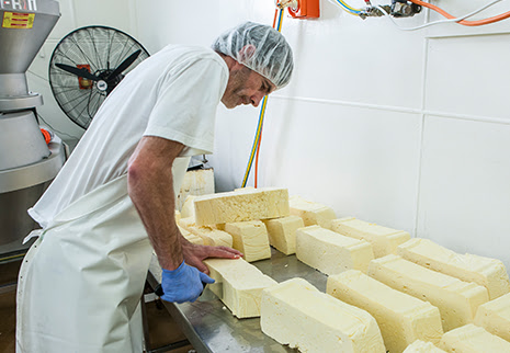 Tilba Real Dairy - Making Cheese